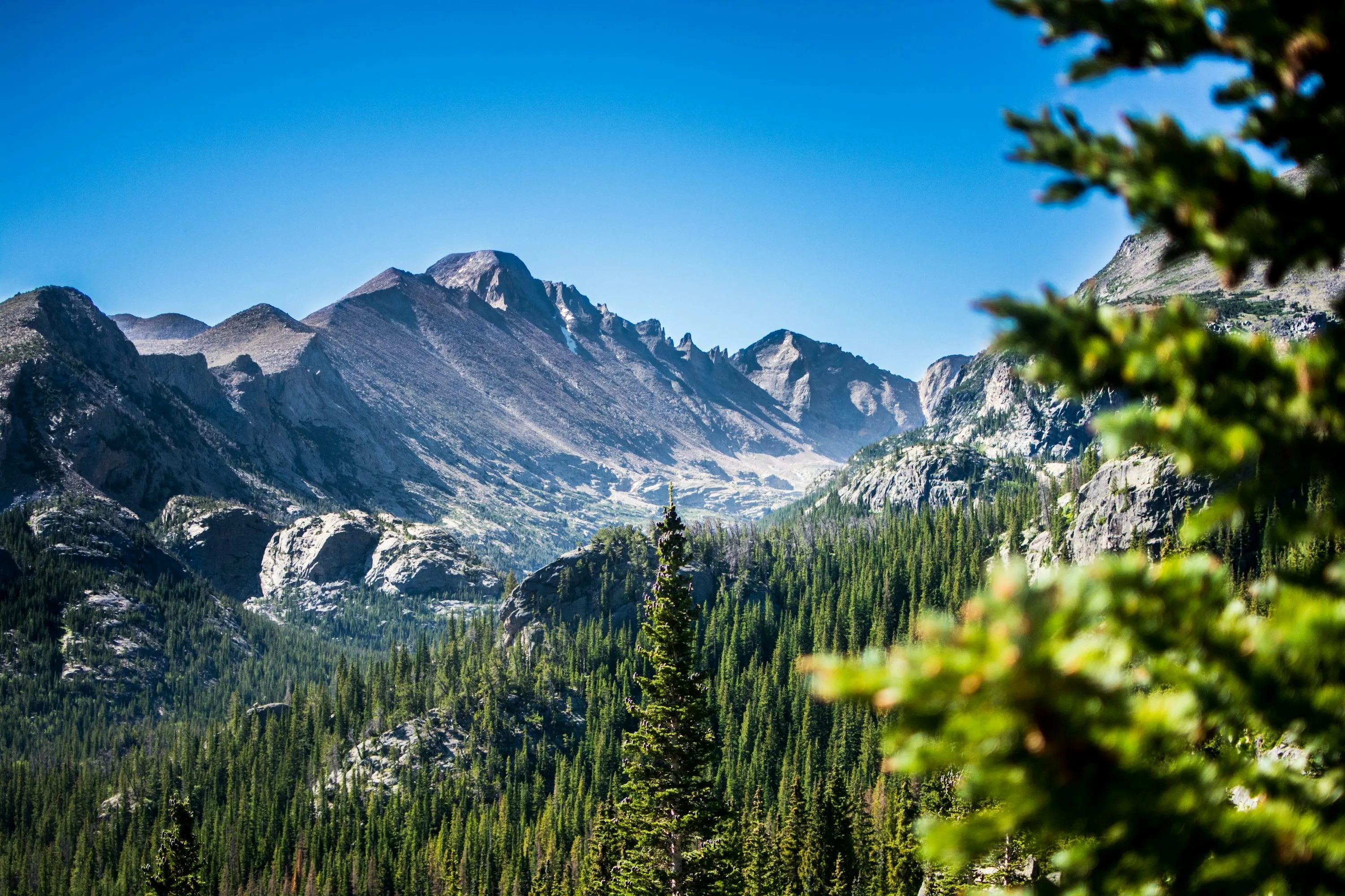 Mountain view in Aspen Colorado with pine trees and clear skies – Rocky Mountain landscape