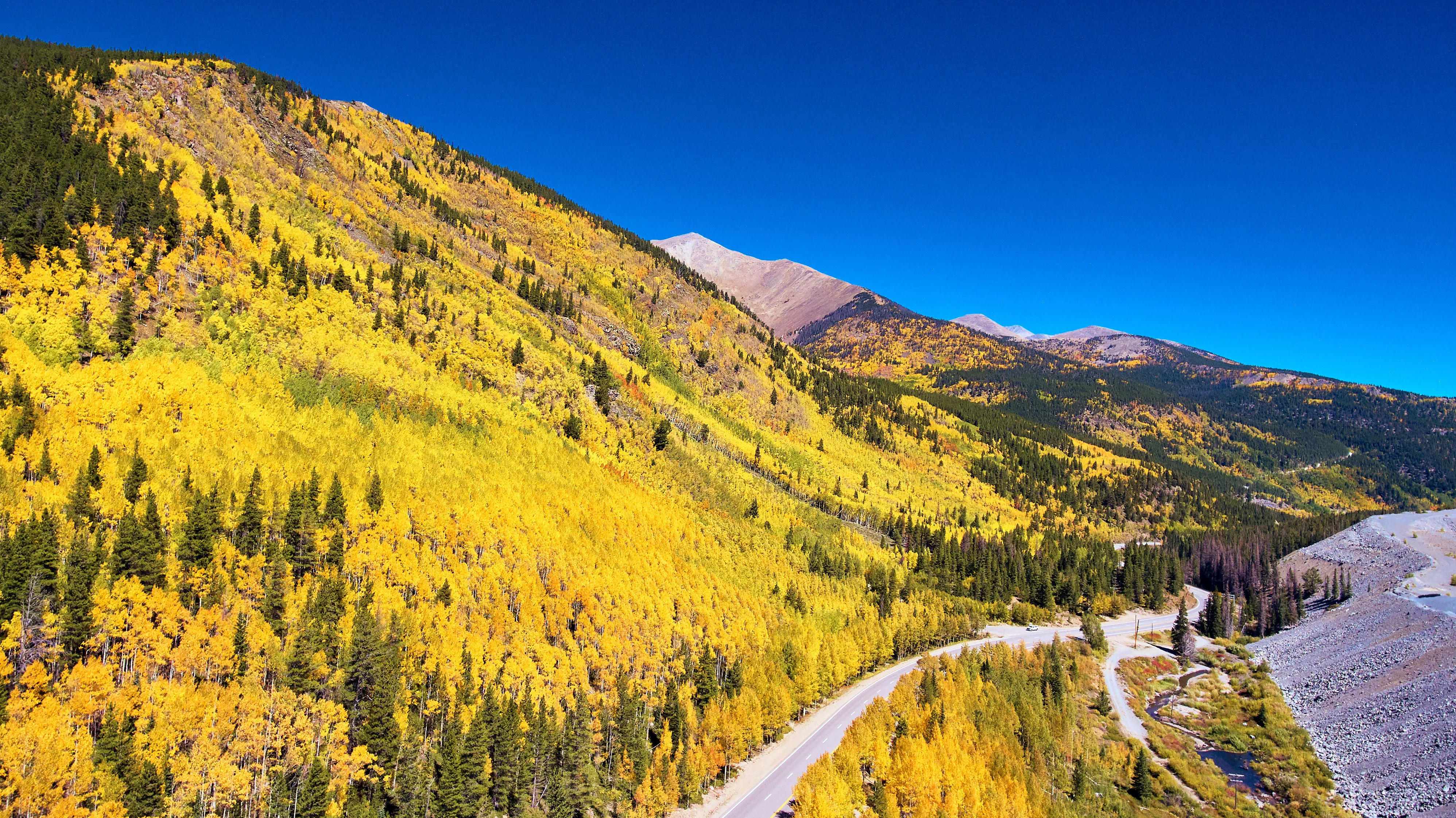 Scenic mountain road winding through bright yellow aspens during fall in Colorado with clear blue skies above
