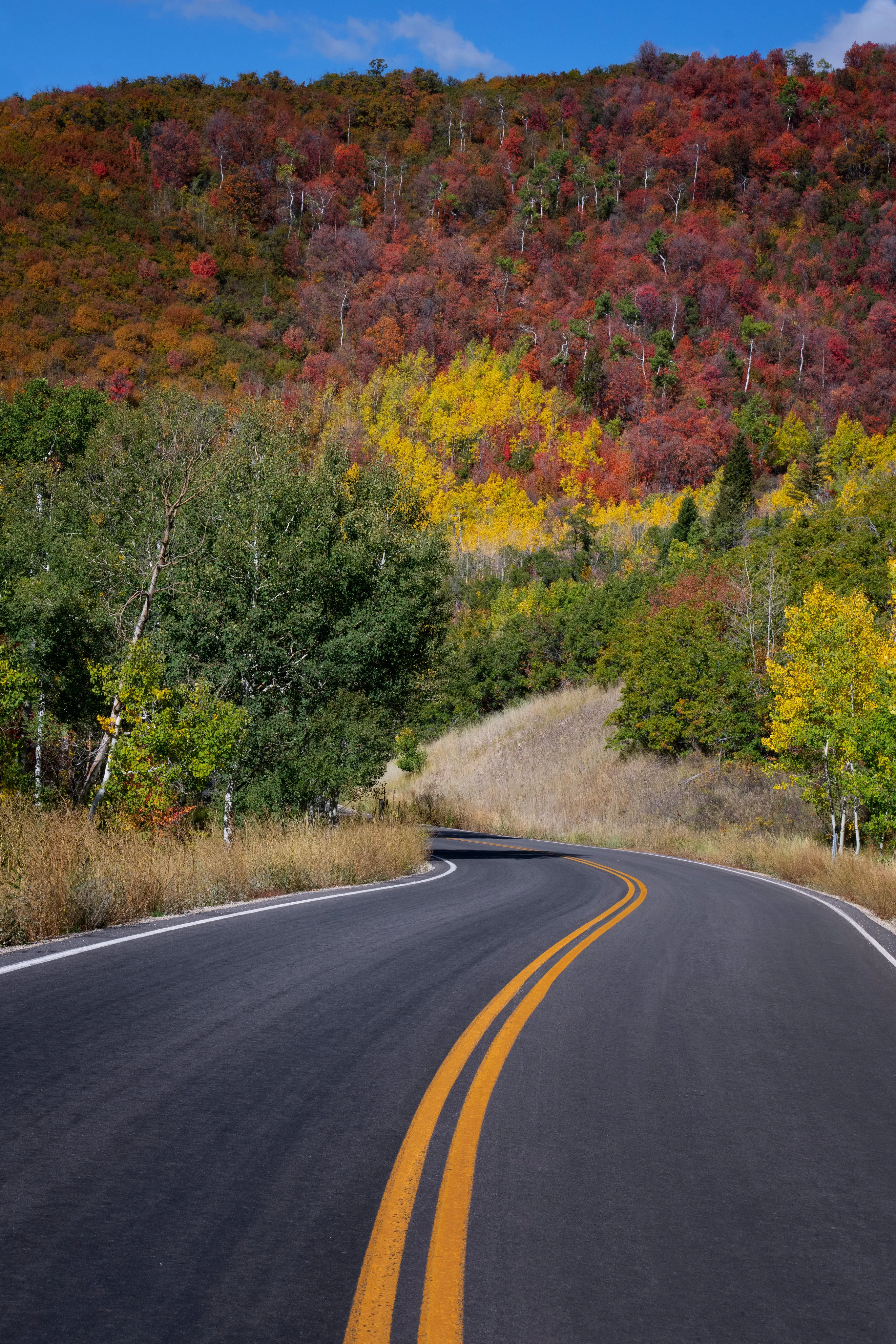 Scenic mountain road in Colorado during fall with vibrant autumn foliage