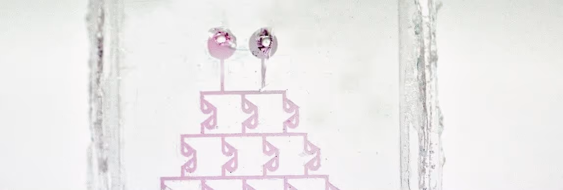 A young woman working in a machine shop. She is looking directly towards the camera, and is surrounded by men.