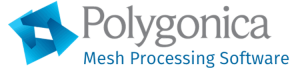 Polygonica_software logo