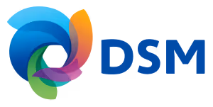 DSM logo