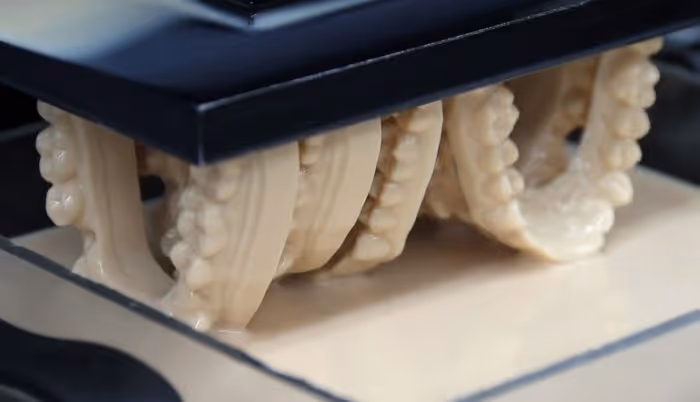 3D-gedruckte Dentalformen auf EnvisionTecs Desktop 3D Drucker erstellt [Bildnachweis: EnvisionTech]