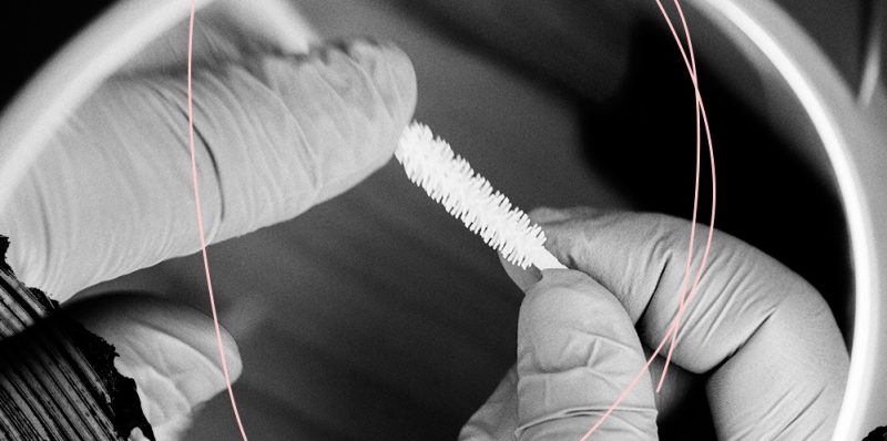 chanel mascara feature