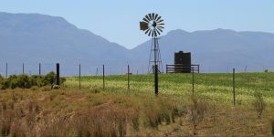 Underdeveloped countries