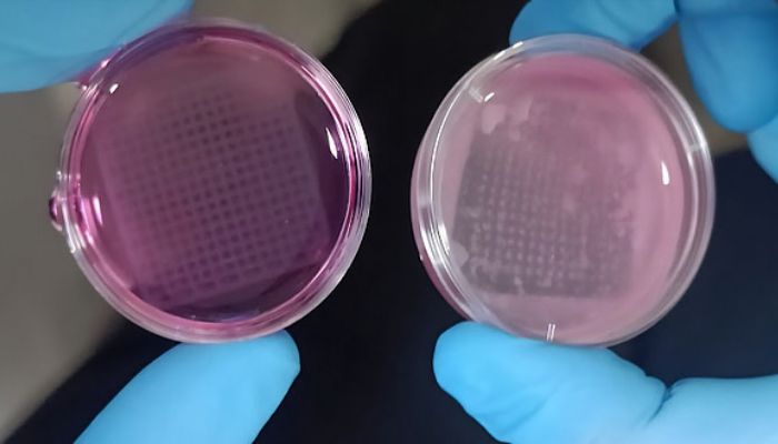 printed skin tu graz vit