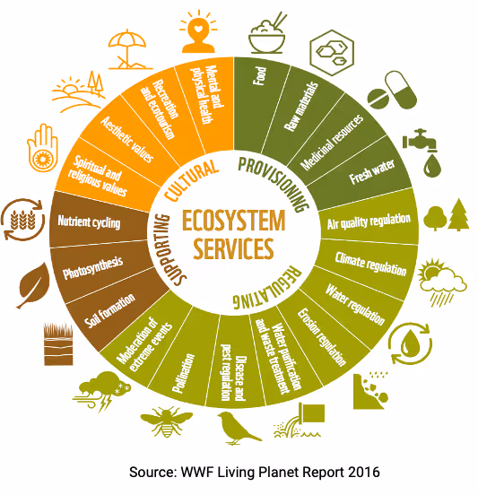 BD ecosystem services