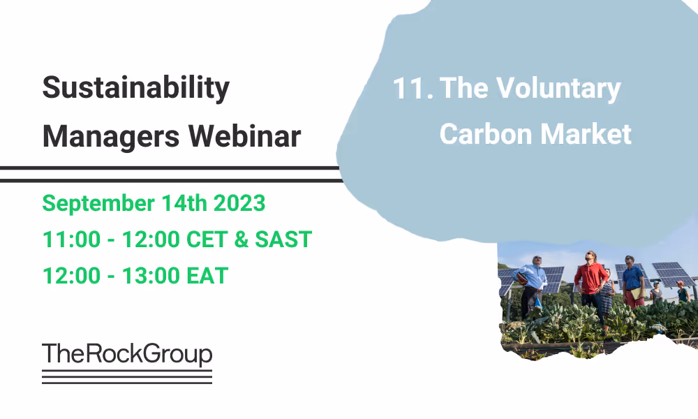 The Voluntary Carbon Market