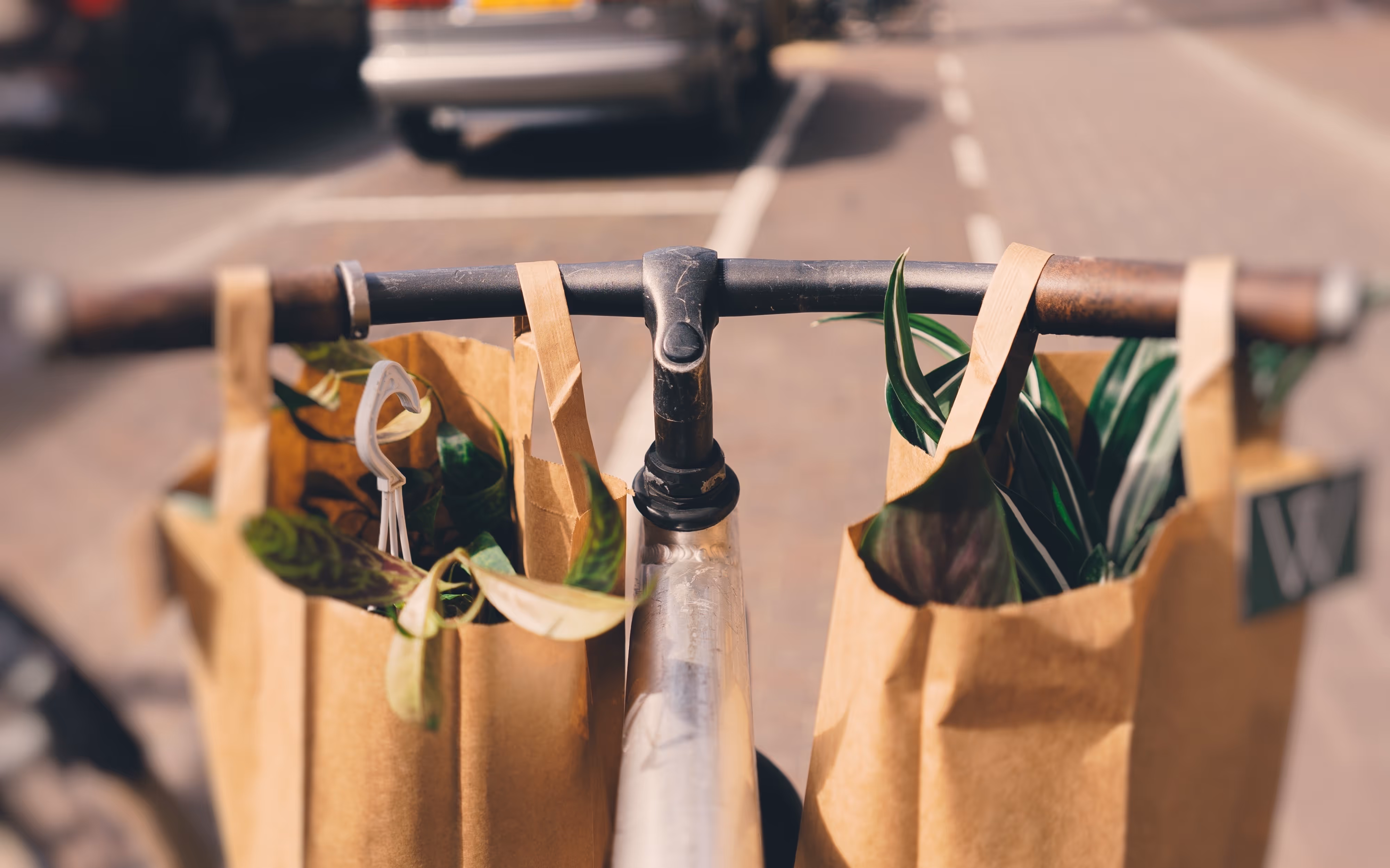 Summer School Sustainable and Social Business