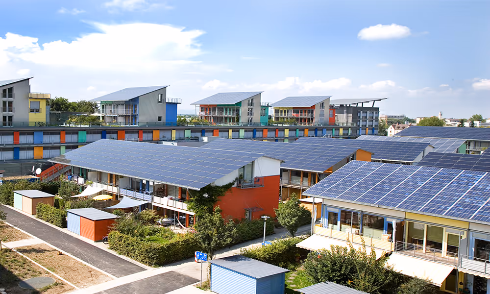 VTW Interview Elfrieke van Galen