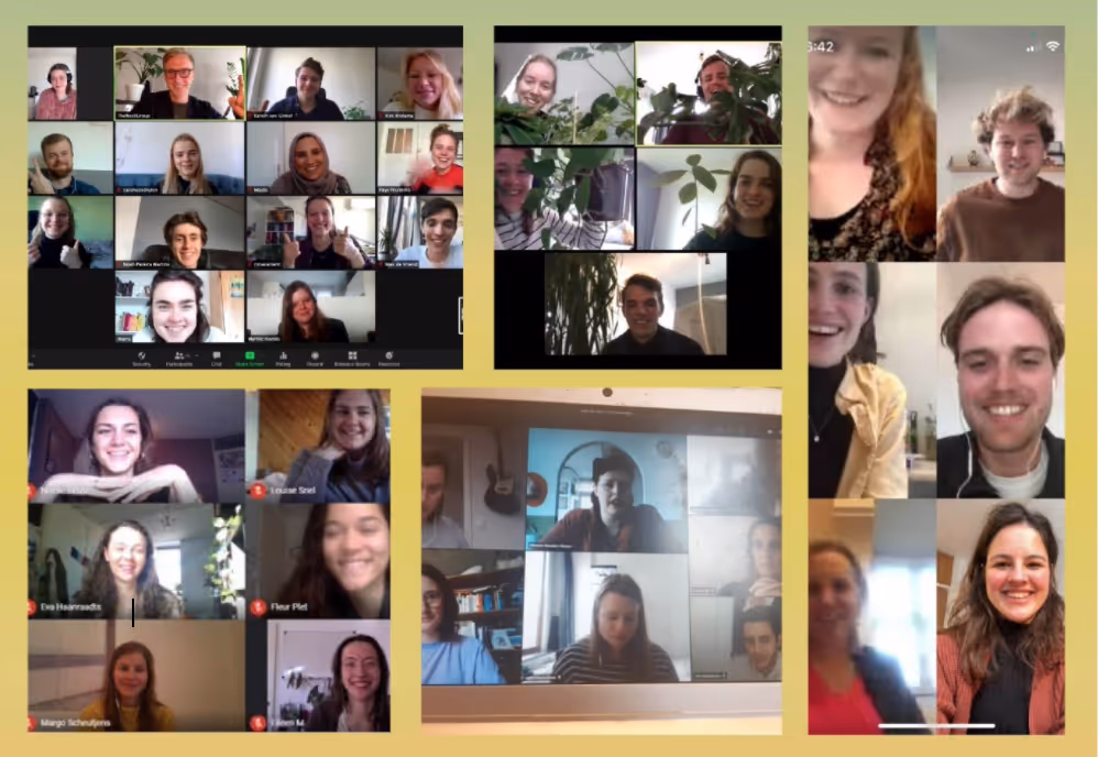 SDG Traineeship faces from online meetings