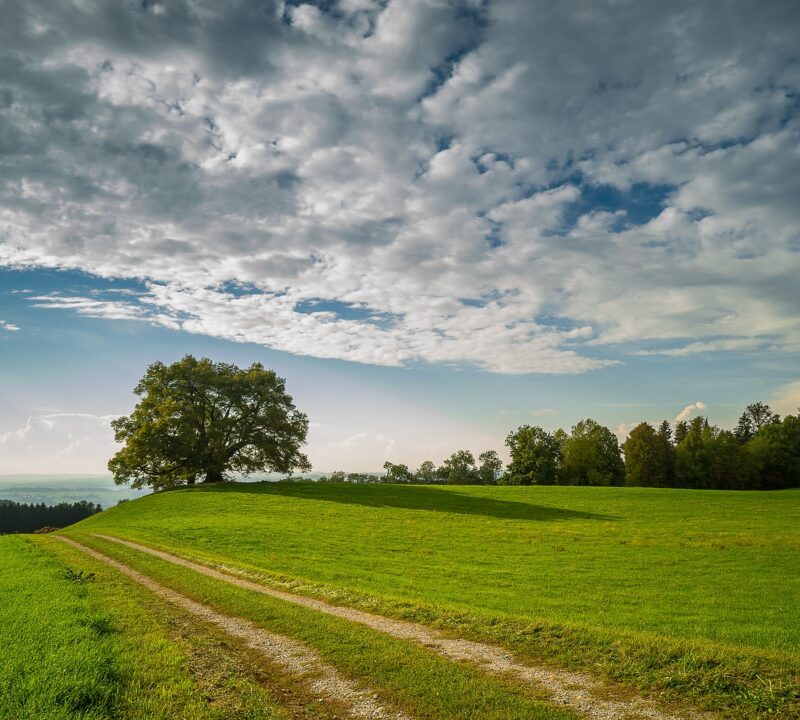 landscape-g1391ee3d1_1920