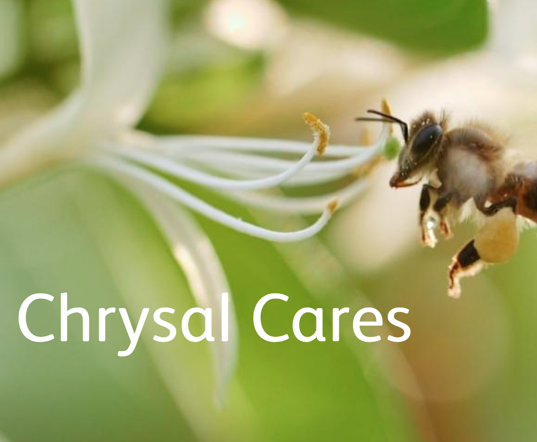 bee plants chrysal cares