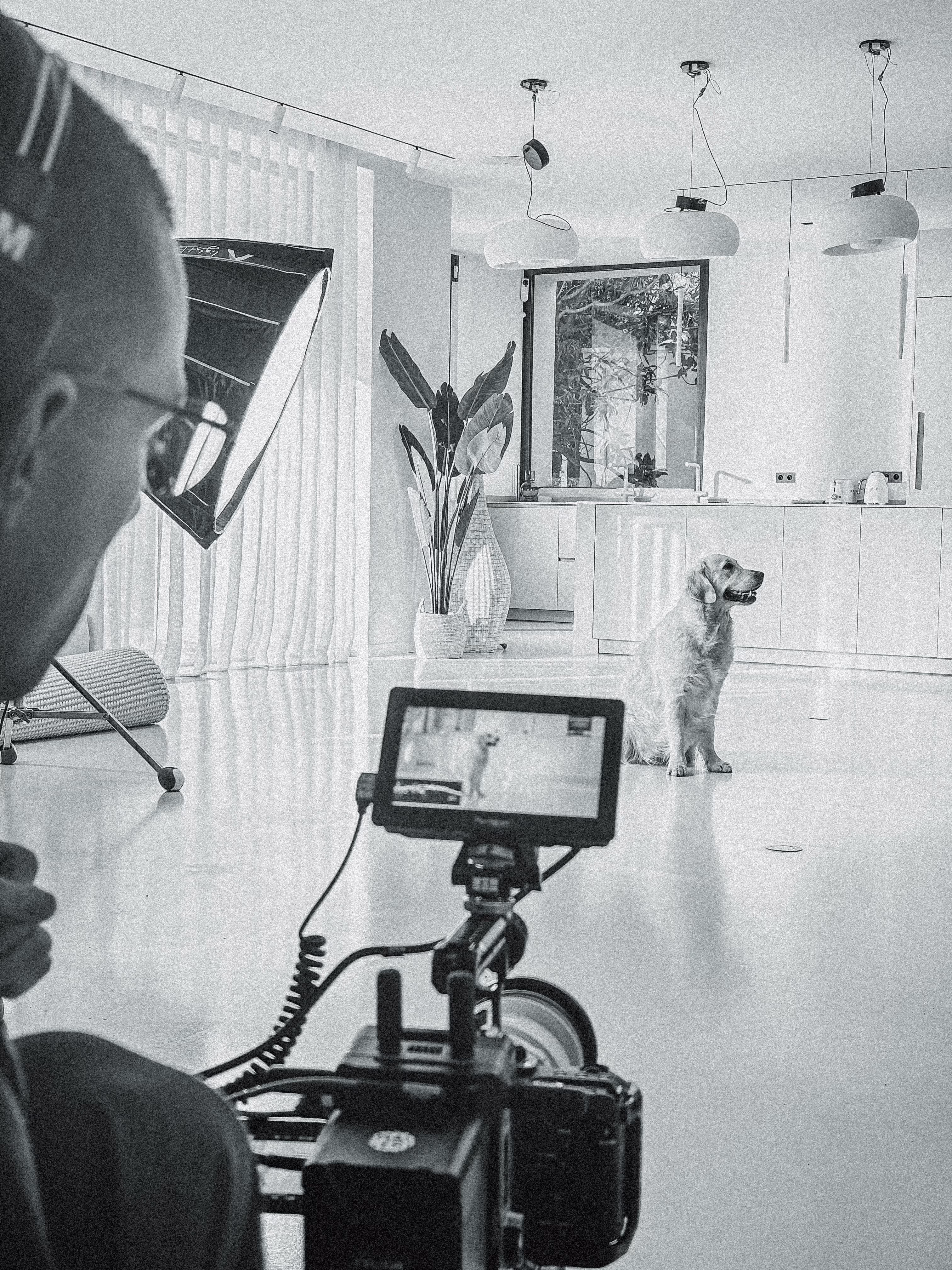 Calme et technologique : les coulisses de Royal Canin