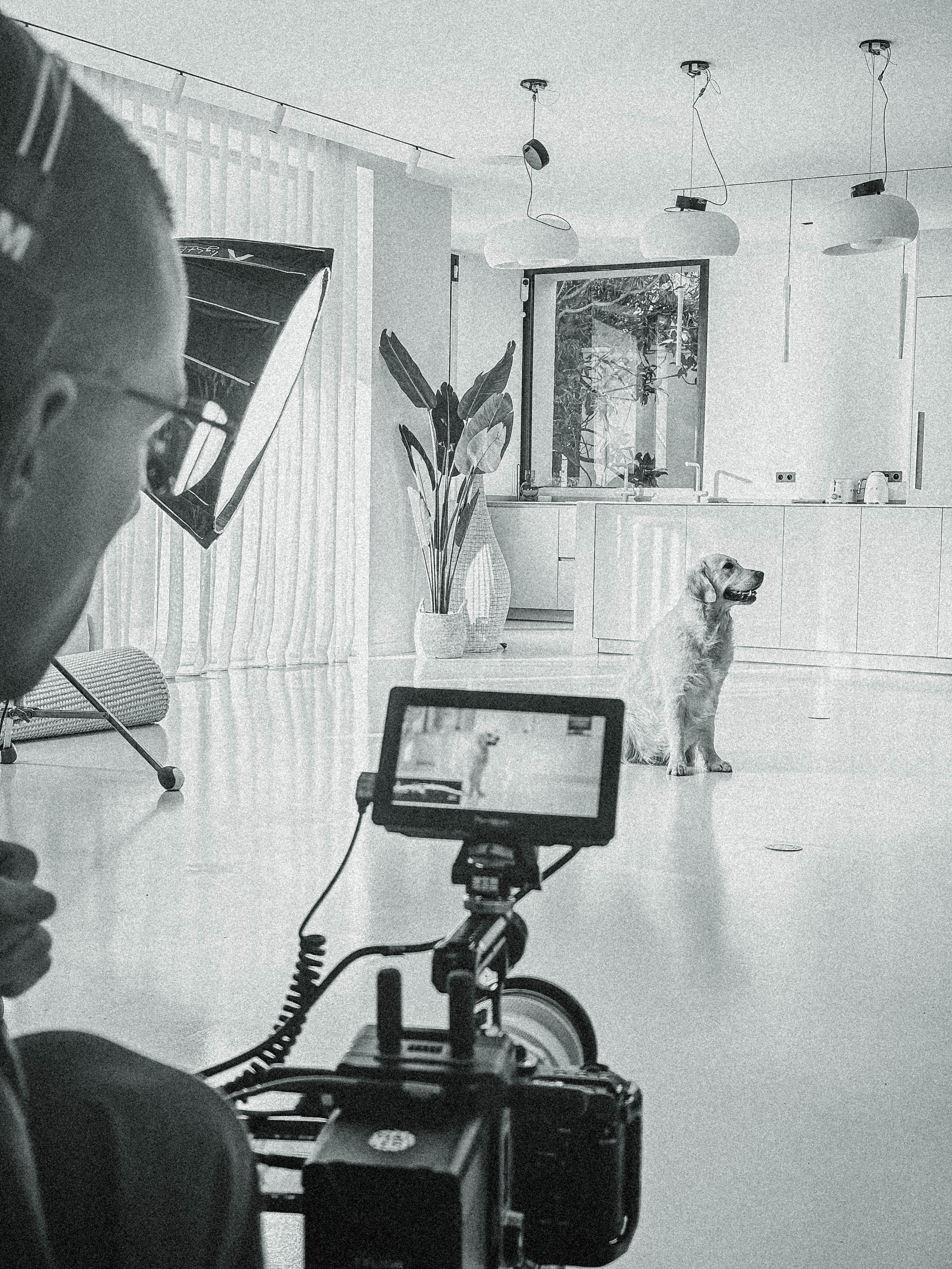 Calme et technologique : les coulisses de Royal Canin
