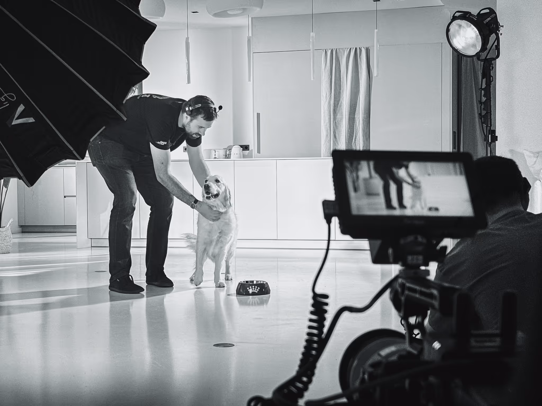 Calme et technologique : les coulisses de Royal Canin