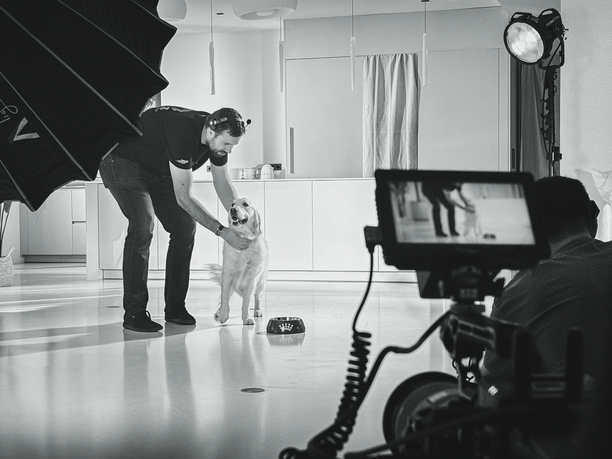 Calme et technologique : les coulisses de Royal Canin
