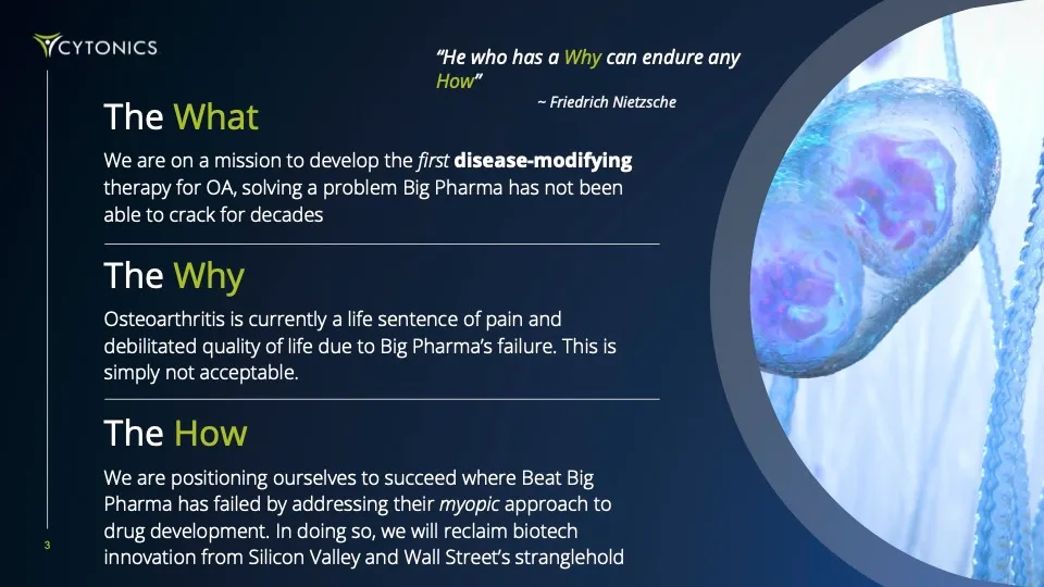 Cytonics presentation slide: The What, The Why, The How — outlining the mission to develop disease-modifying OA therapy