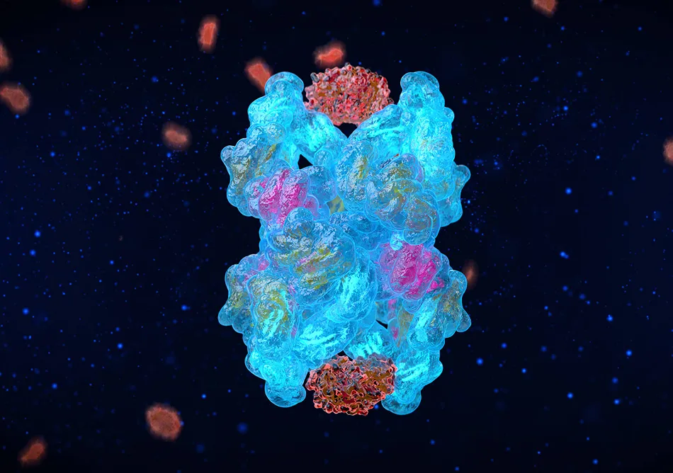 A2M protein trapping inflammatory particles, illustrating Cytonics' molecular therapy for osteoarthritis