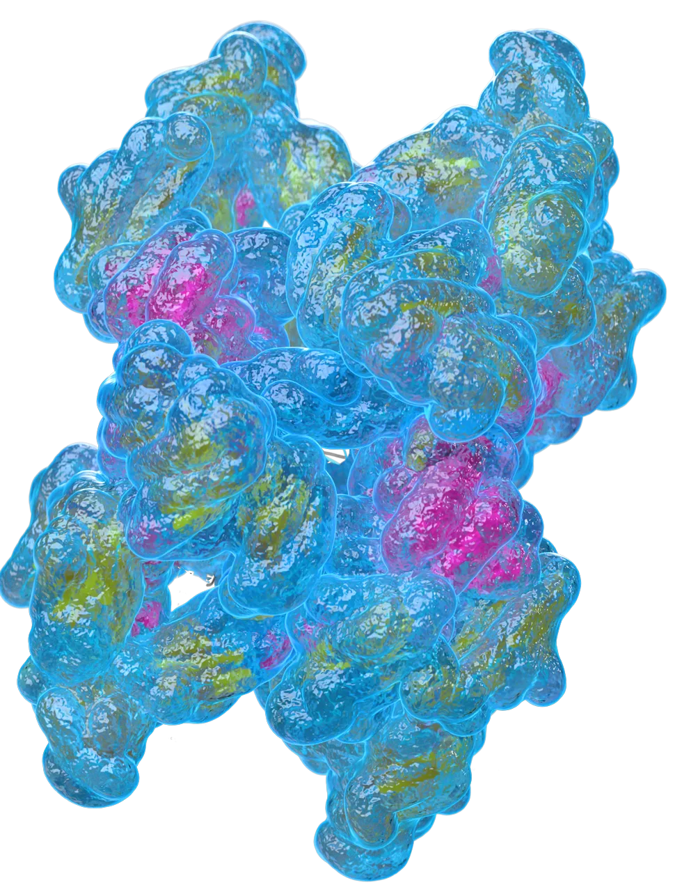 3D surface model of the A2M protein with translucent cyan exterior and magenta internal regions on transparent background