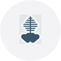 Option: Xray