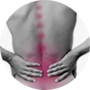 Option: Lower Back