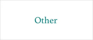 Option: Other