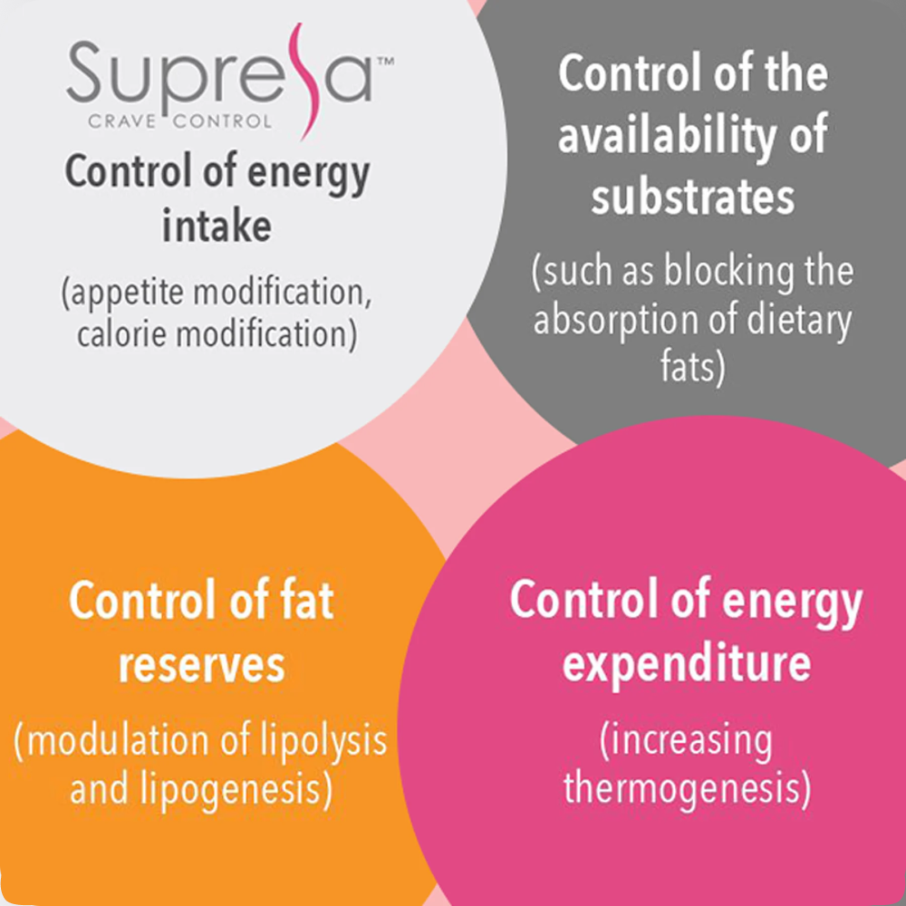 Four circles with the words control of energy, control of substance, control of energy.