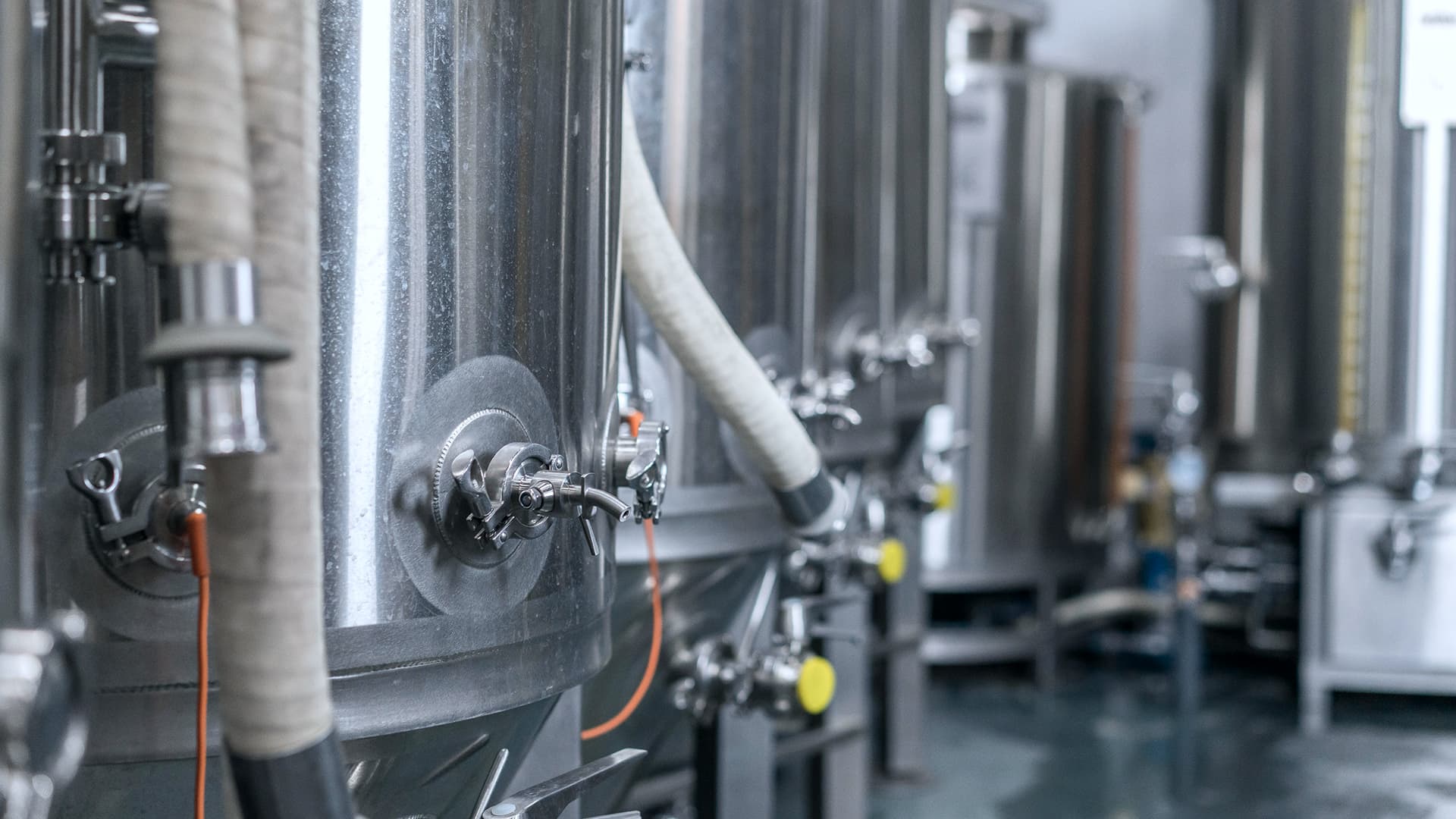 Brewery tanks