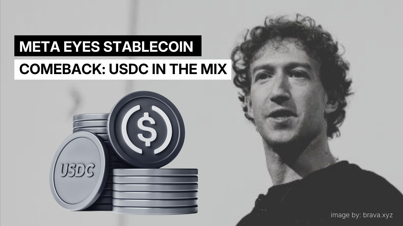 Meta eyes stablecoin comeback: USDC in the mix | brava.xyz