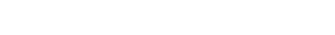 ravi polyester pvt. ltd