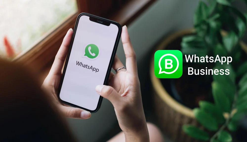 whatsapp business