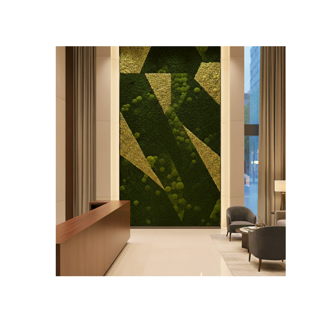 image of lush forest landscape