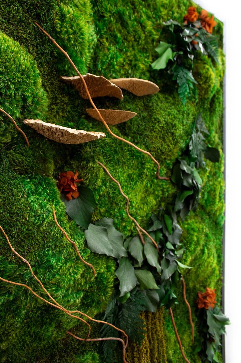 image of latest agricultural innovation