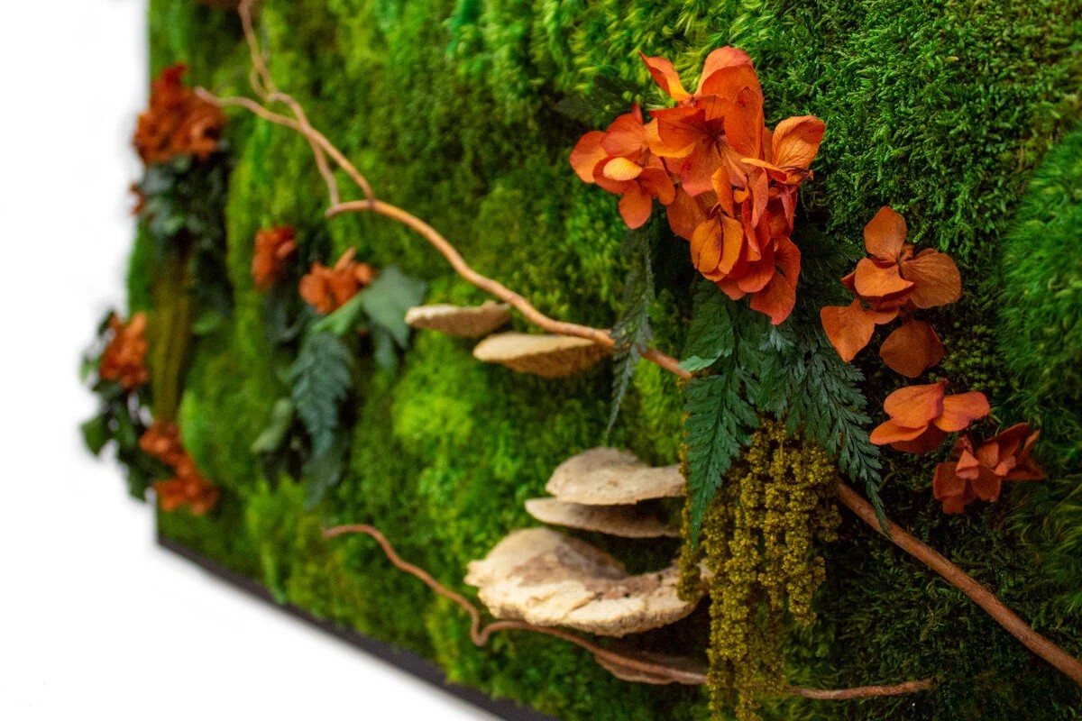 image of latest agricultural innovation