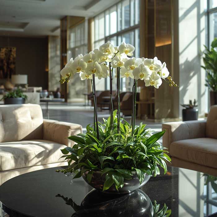 image of school reception area