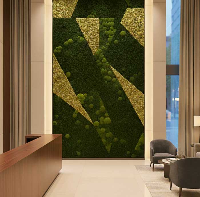 image of lush forest landscape