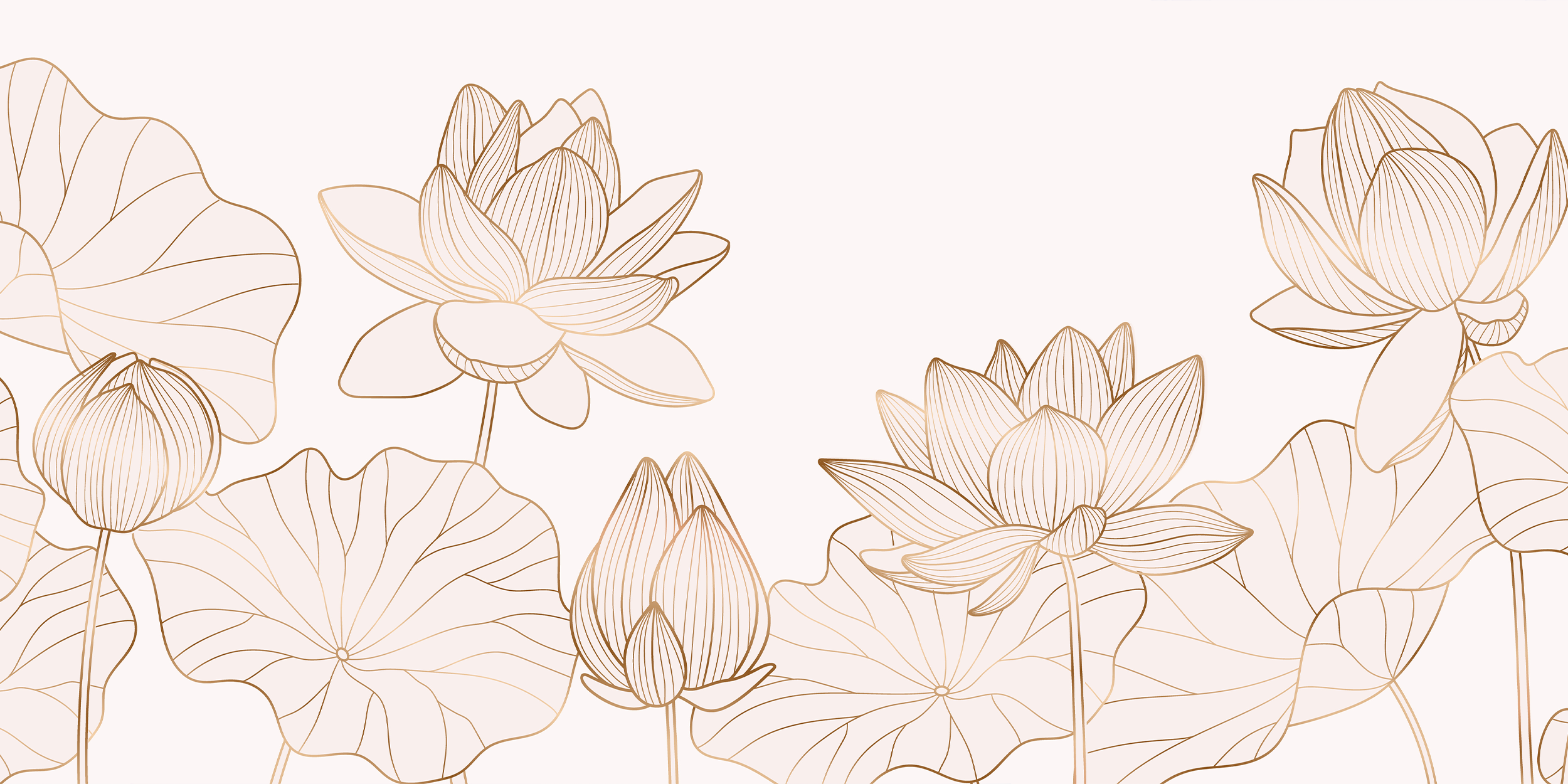 A line drawing of water lilies on a white background