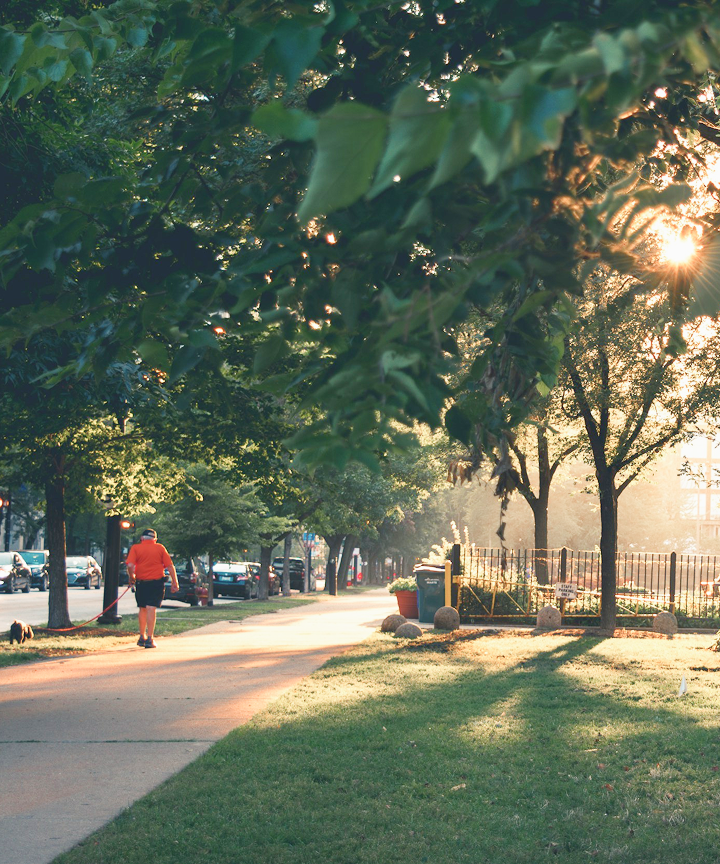 Image of a man walking a dog through a local park on a sunny morning.