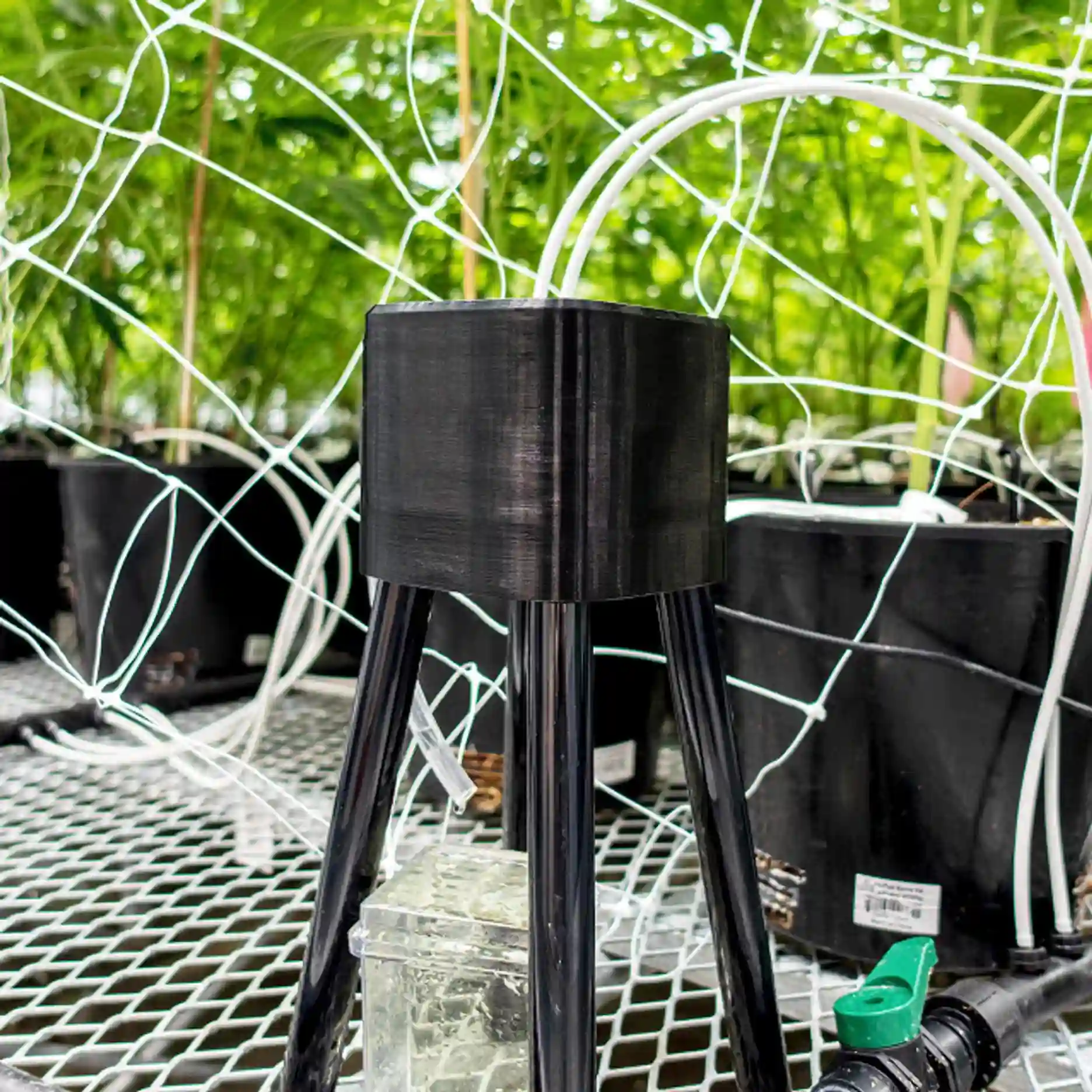 Advanced AI algorithms for commercial harvest yield optimization