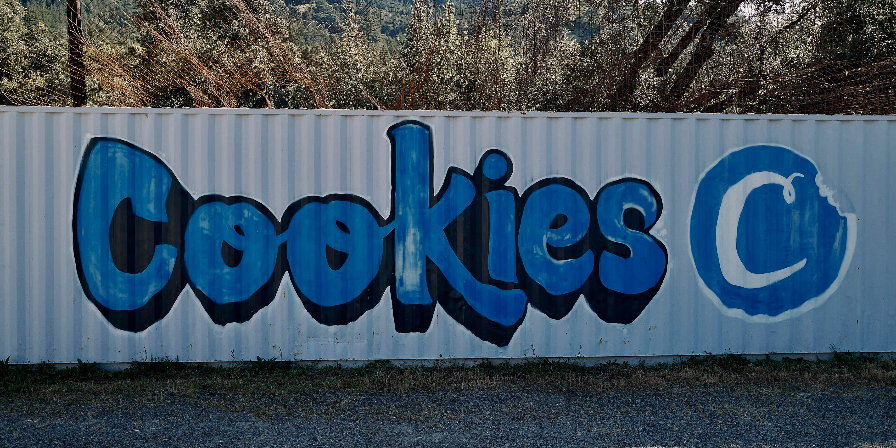 Cookie U 2024