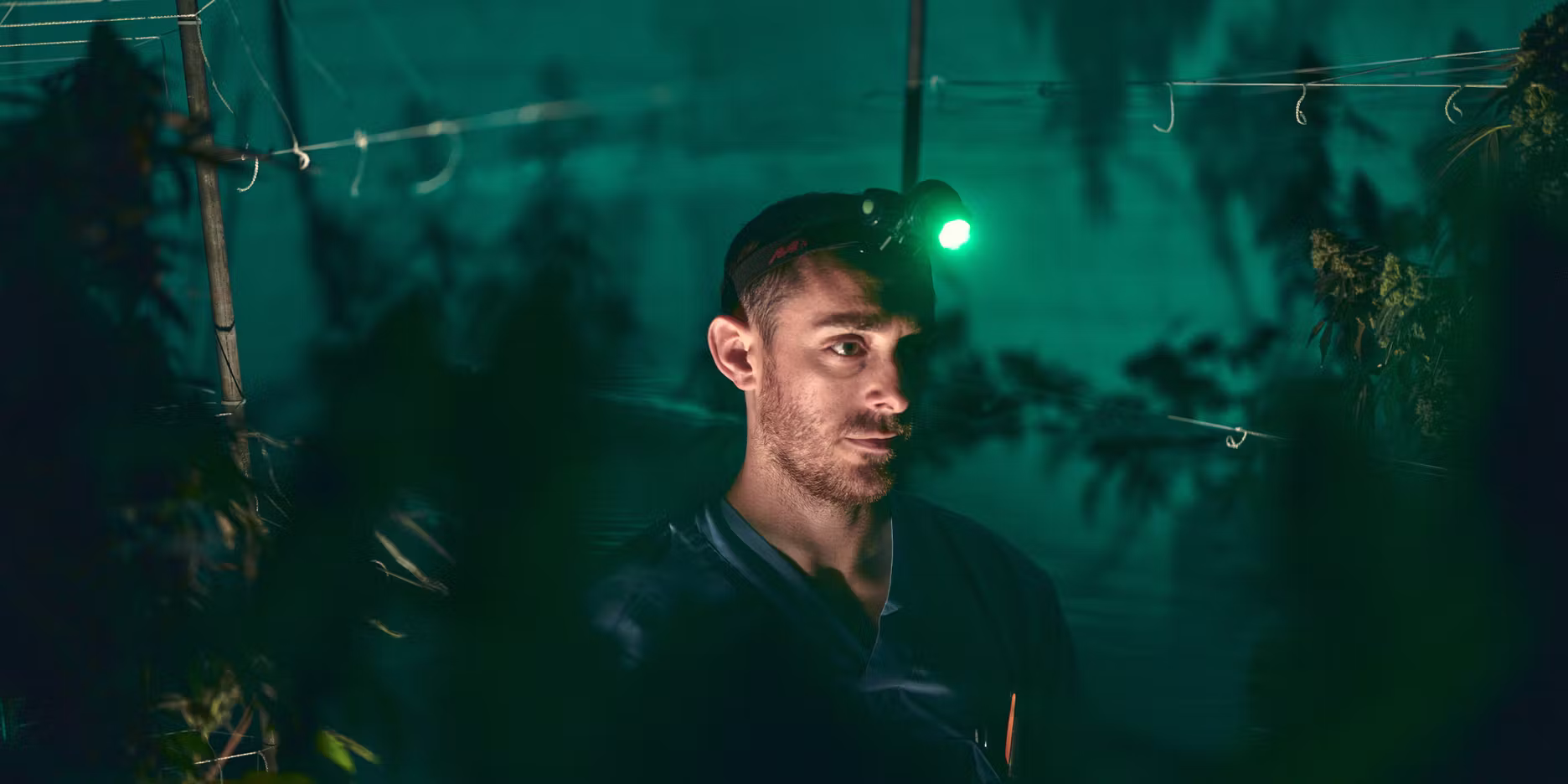 Node Labs Bringing innovation to cultivation