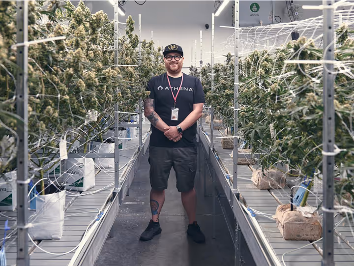 Top-shelf edible experience