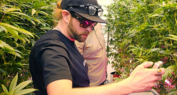 Cian Sullivan - Cultivation Expert