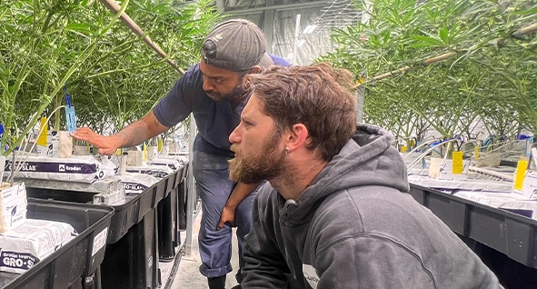 Liam Spencer - Cultivation Expert