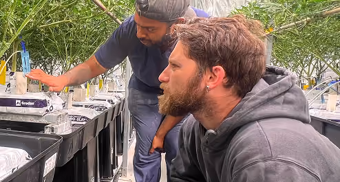 Liam Spenser, AROYA Cultivation Expert