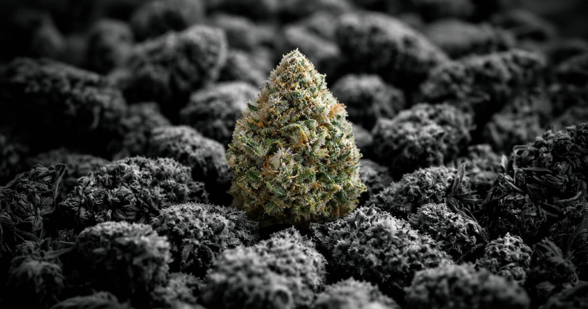 Price Compression Is the Point (Not a Phase)