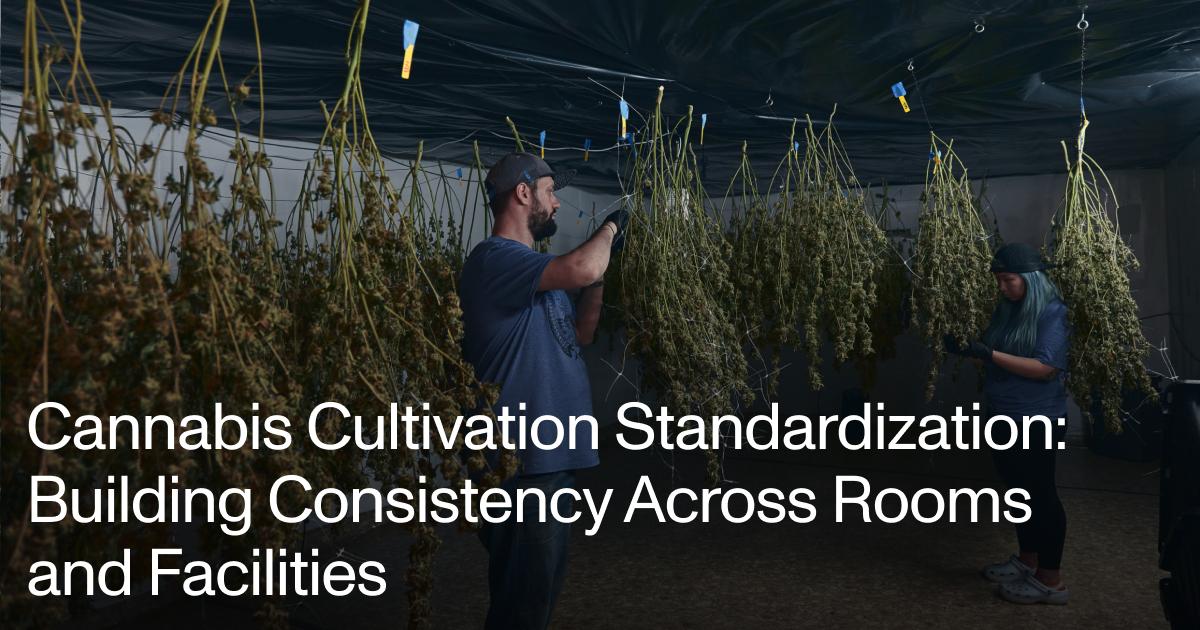 How to standardize cannabis cultivation across facilities