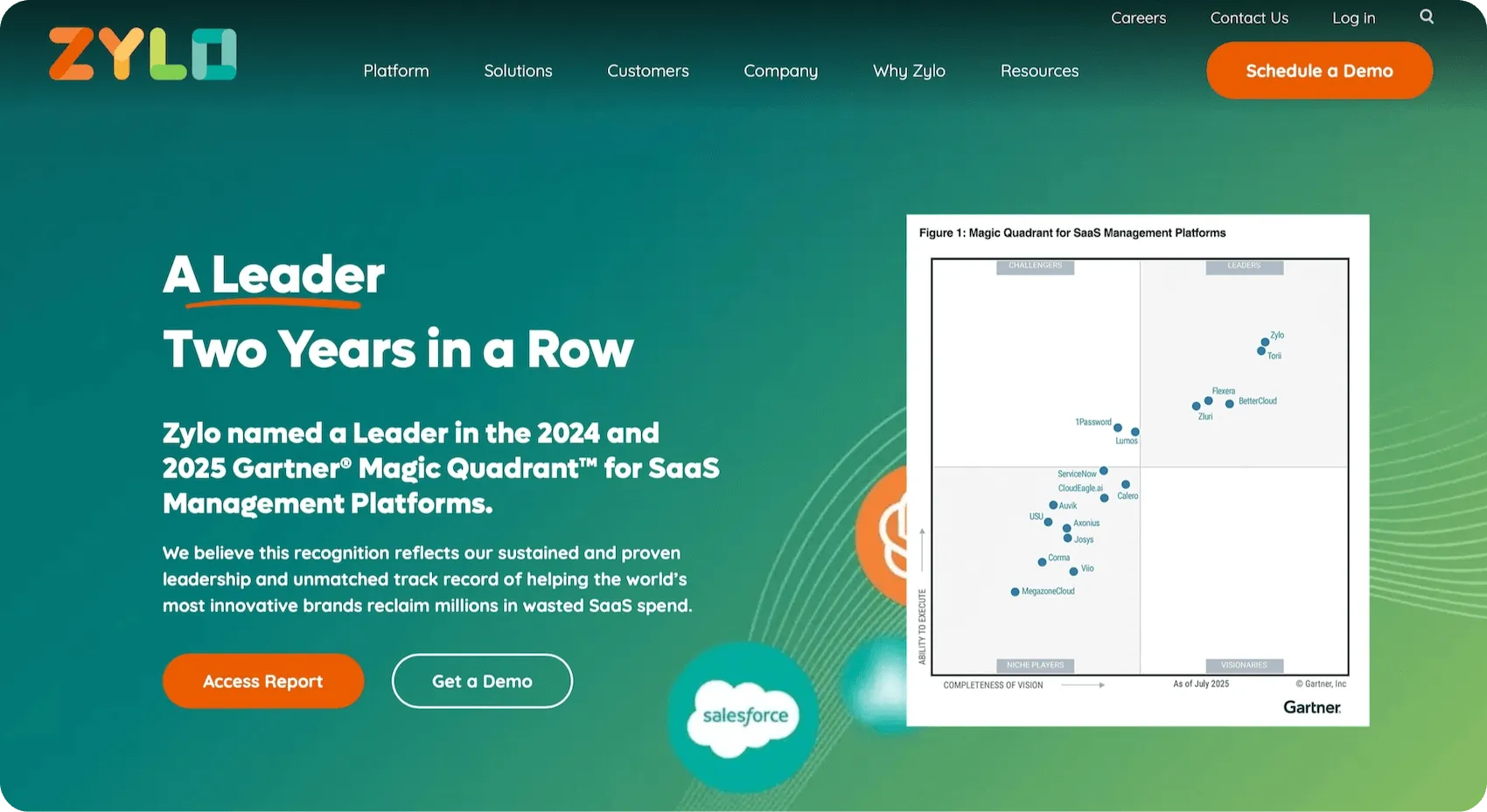 Zylo homepage: A Leader Two Years in a Row