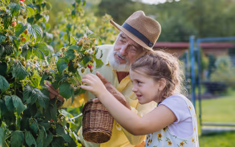 Grandfather gardening with granchild